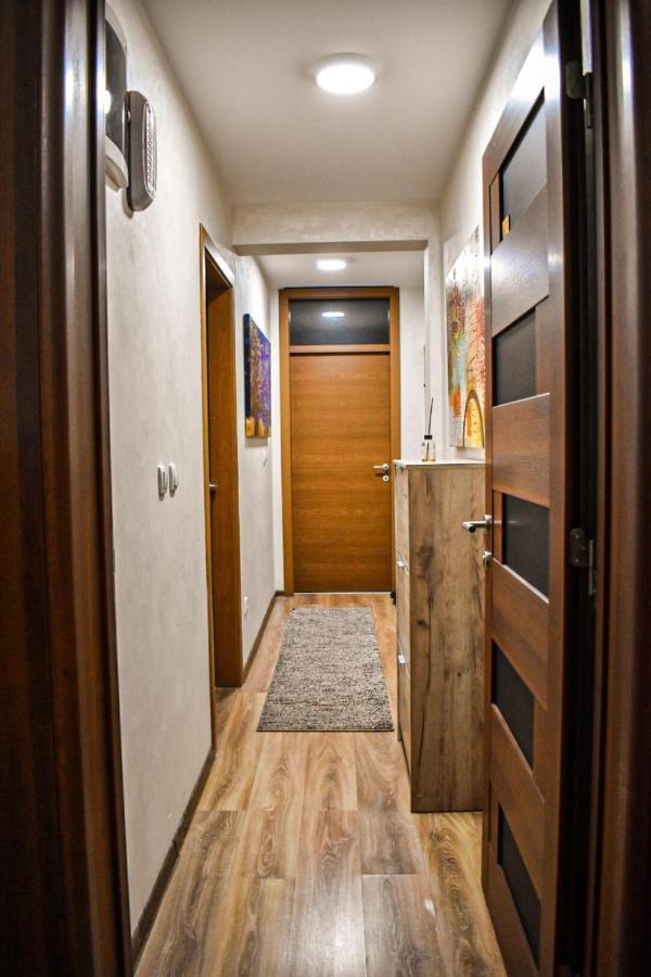 נובי פאזאר Avio Apartmani 2018 מראה חיצוני תמונה