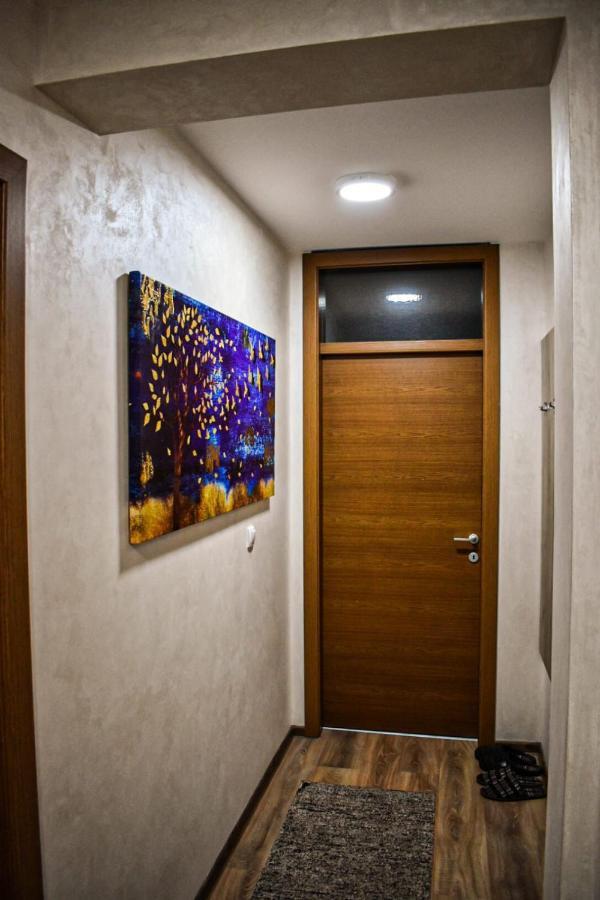 נובי פאזאר Avio Apartmani 2018 מראה חיצוני תמונה
