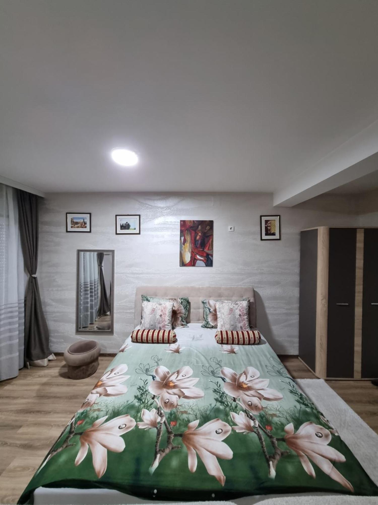נובי פאזאר Avio Apartmani 2018 מראה חיצוני תמונה
